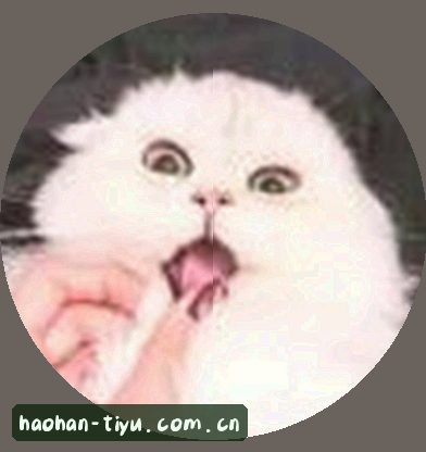 小刘